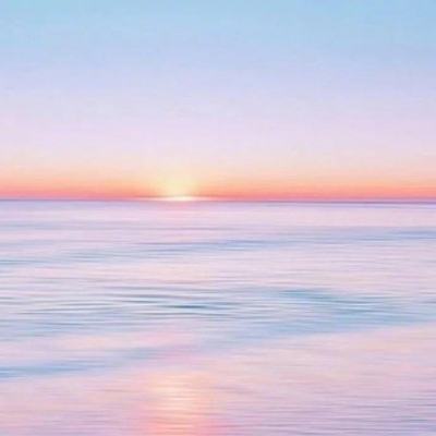 js555888金沙截图