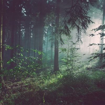 pg麻将胡了网站